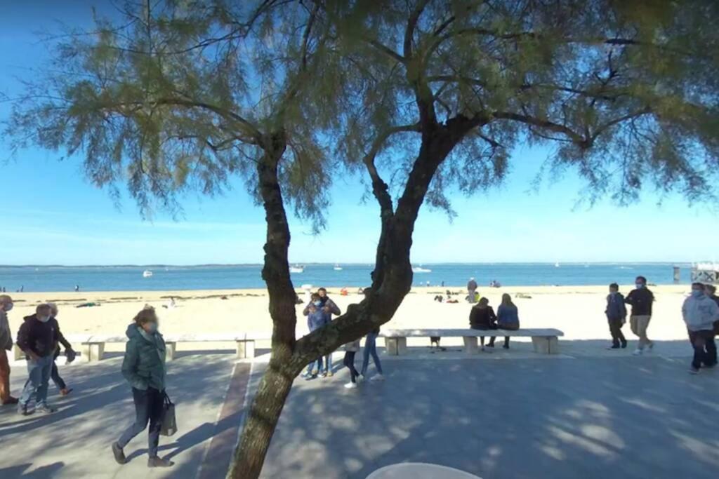 T2 Full Centre At 7 Min From The Beach アルカション エクステリア 写真